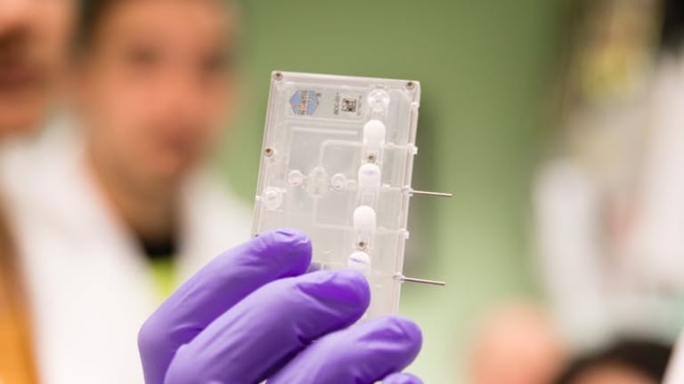 Organs-on-chips: Tiny technology helping bring safe new drugs to patients faster