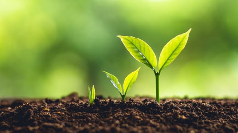 It takes an ecosystem to raise a successful start-up