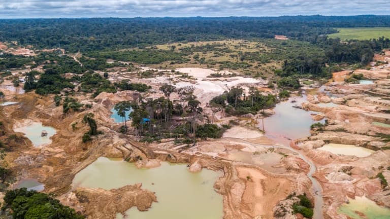 Statistic of the decade: The massive deforestation of the Amazon