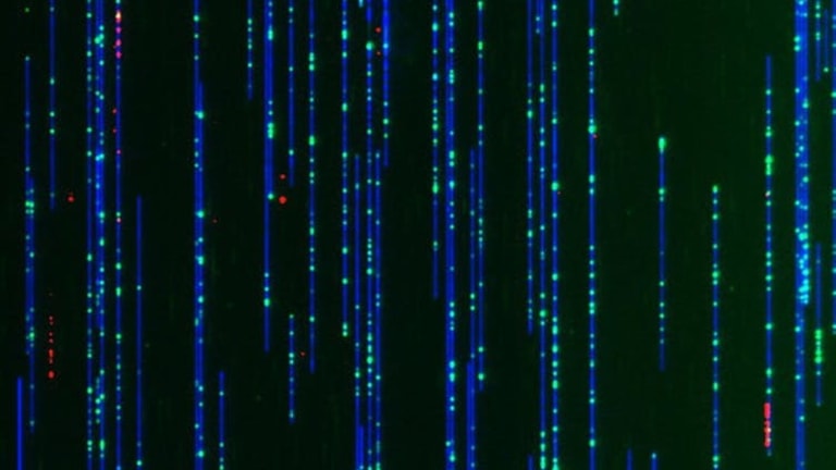 DNA as you’ve never seen it before, thanks to a new nanotechnology