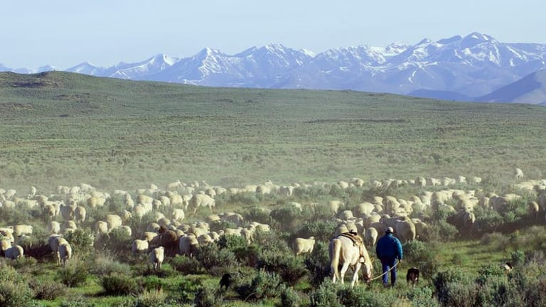 Moving Bureau of Land Management headquarters to Colorado won’t be good for...