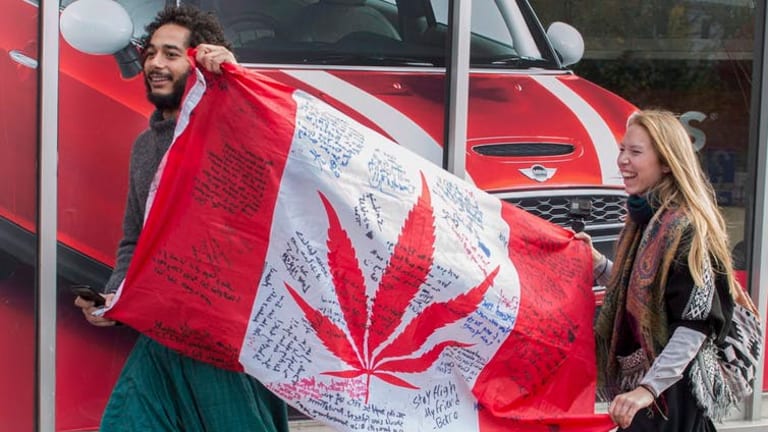 Legal cannabis celebrates its first anniversary in Canada: What’s next?
