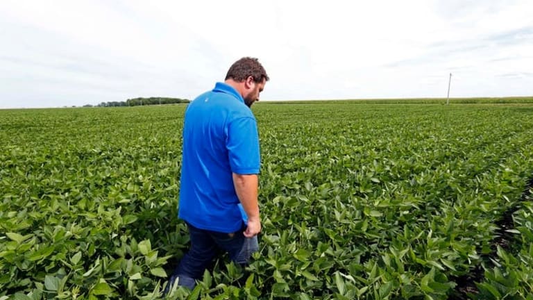 American farmers want trade partners not handouts