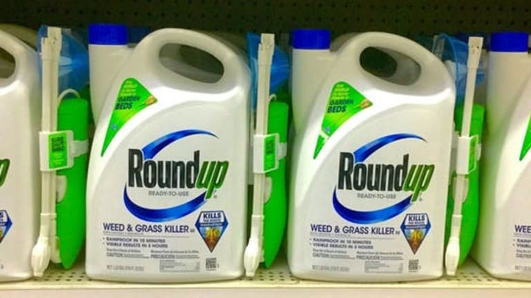 Does Monsanto’s Roundup cause cancer?