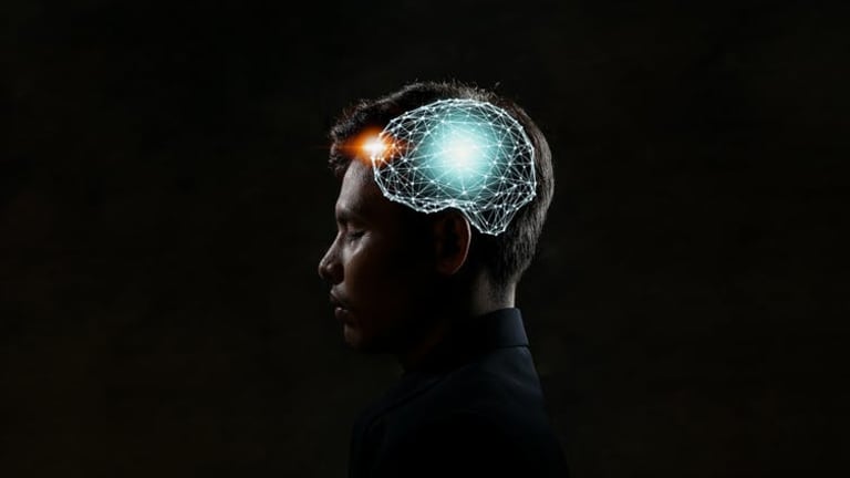 Designing artificial brains can help us learn more about real ones