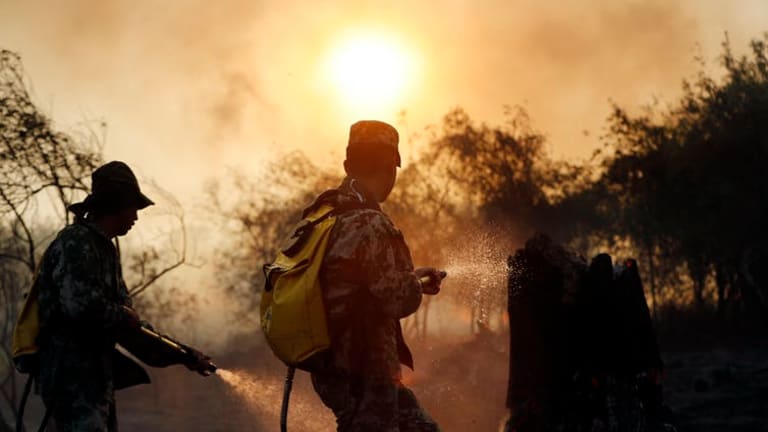 In Paraguay, rural communities facing deforestation see power – and profit