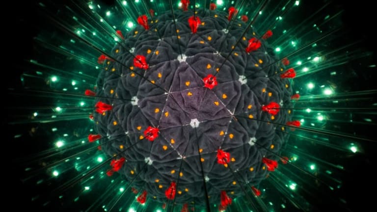 Here’s how scientists are tracking the genetic evolution of COVID-19