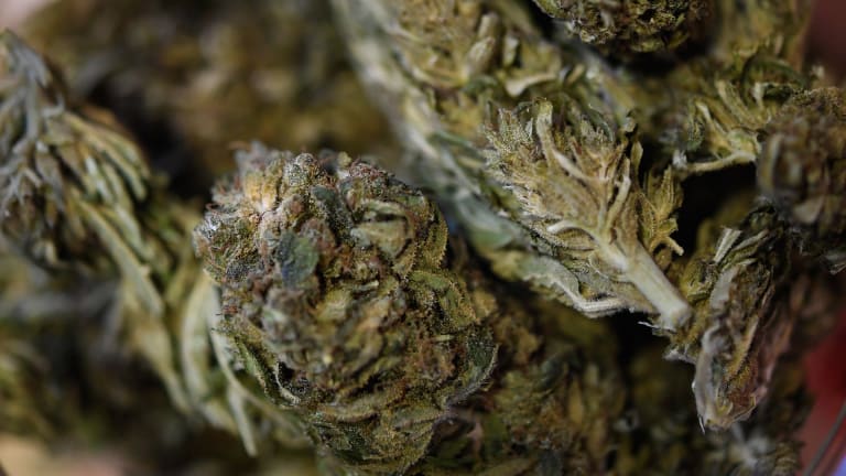 The Jokers, The Tokers, Millennials & Gen Z-ers are The New Age Smokers - Cowen Takes a Look at Cannabis Use Among Younger Cohorts