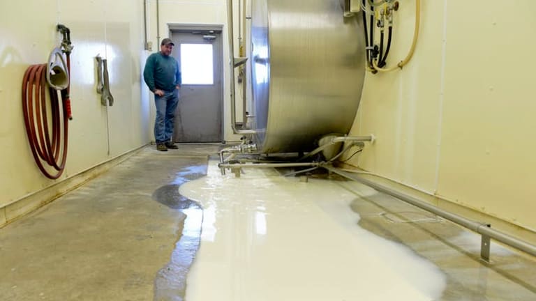 Why farmers are dumping milk down the drain and letting produce rot in fields