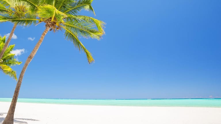 Affirm a New Financial You