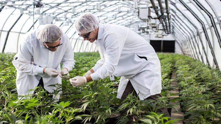 New Investments and Products for Retirement (Aug. 20 2019)