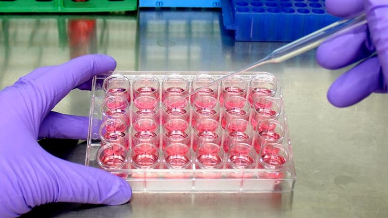 We found and tested 47 old drugs that might treat the coronavirus: Results show promising leads and a whole new way to fight COVID-19
