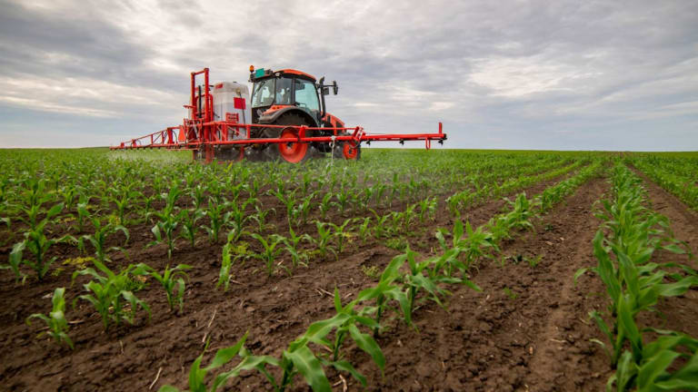 Soaring Fertilizer Prices Could Force Farmers Into Tough Decisions