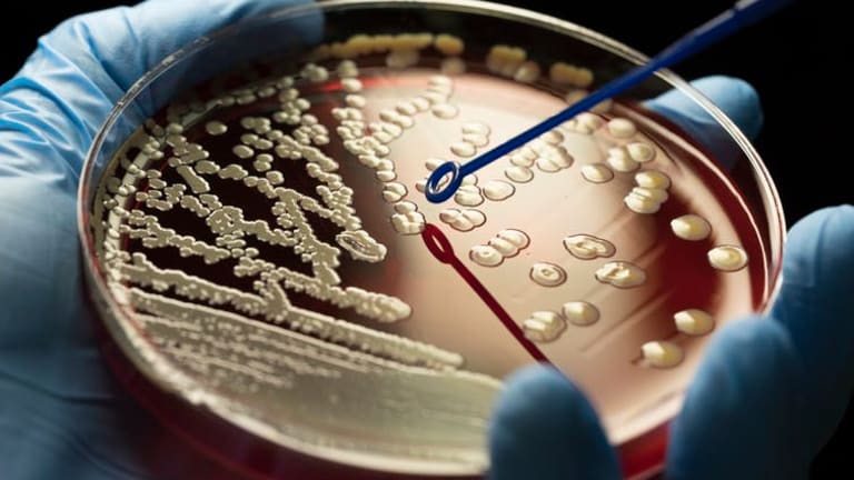 Antibiotic resistance is at a crisis point – government support for academia and Big Pharma to find new drugs could help defeat superbugs