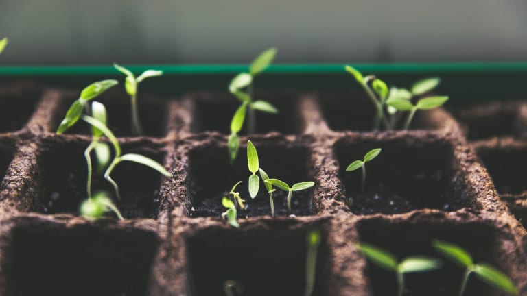 Crowdfunding Regulations Continue to Benefit Growth Companies