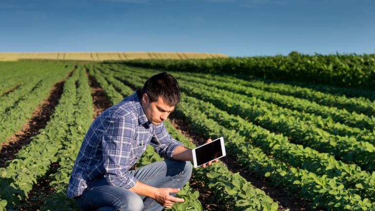 Demand for Crop Data Grows in Brazil