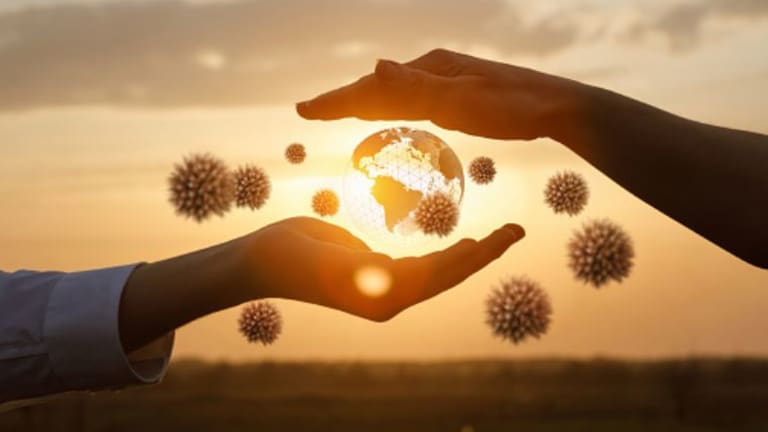 The Global Economy and the Pandemic