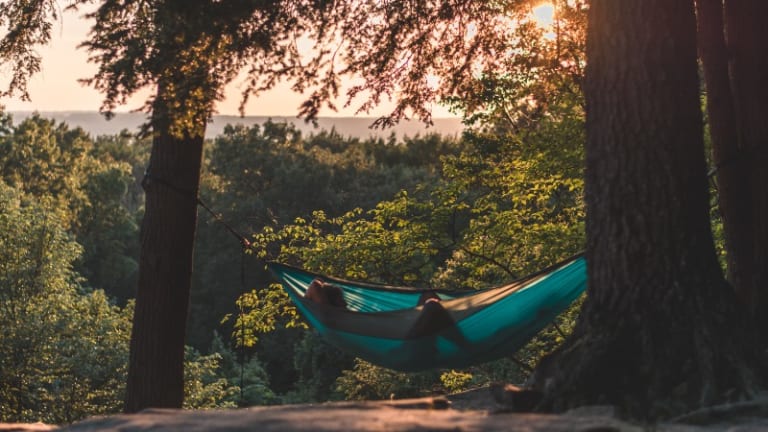 Weekly Roundup June 12 - 18