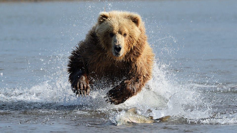 Three Rules to Survive a Bear Market