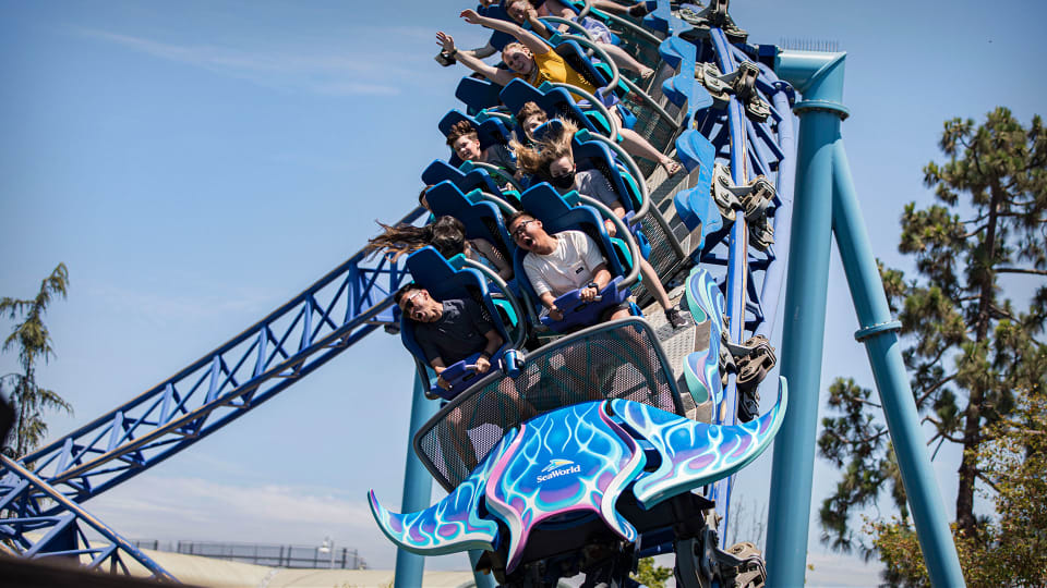 Walt Disney Theme Park Rival Unveils New Thrill Ride