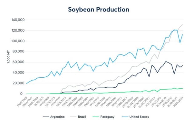 Soybean Production
