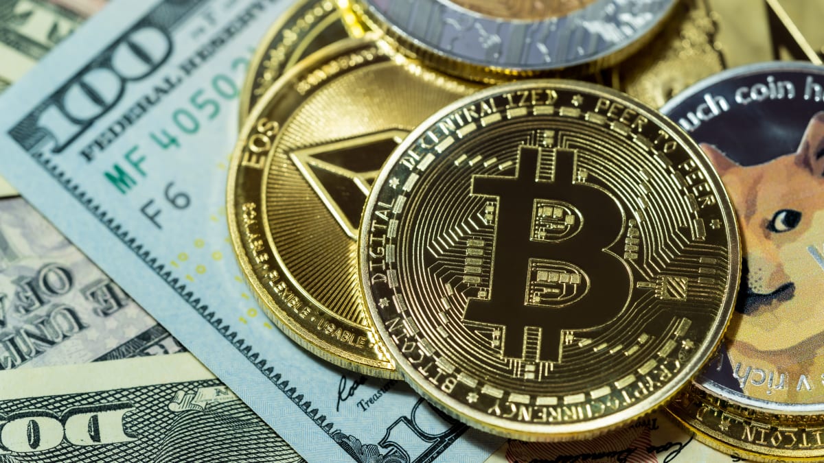 Americans Are Increasingly Bullish on Crypto - TheStreet Crypto: Bitcoin  and cryptocurrency news, advice, analysis and more