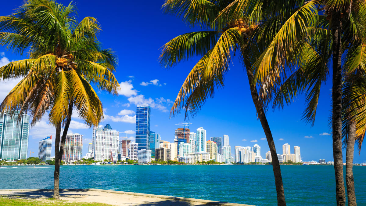 Crypto Investor Travel Guide: Miami - TheStreet Crypto: Bitcoin and  cryptocurrency news, advice, analysis and more