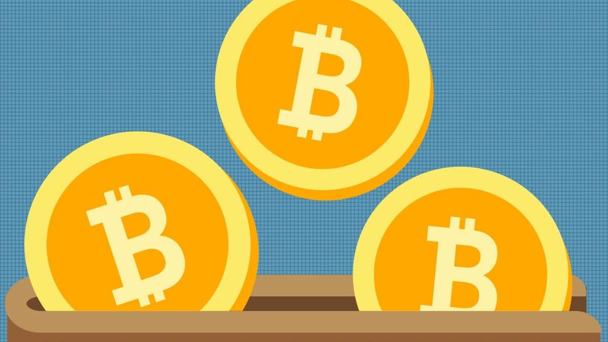 What Is Bitcoin Cash and What Does it Mean in 2019? - TheStreet Crypto:  Bitcoin and cryptocurrency news, advice, analysis and more