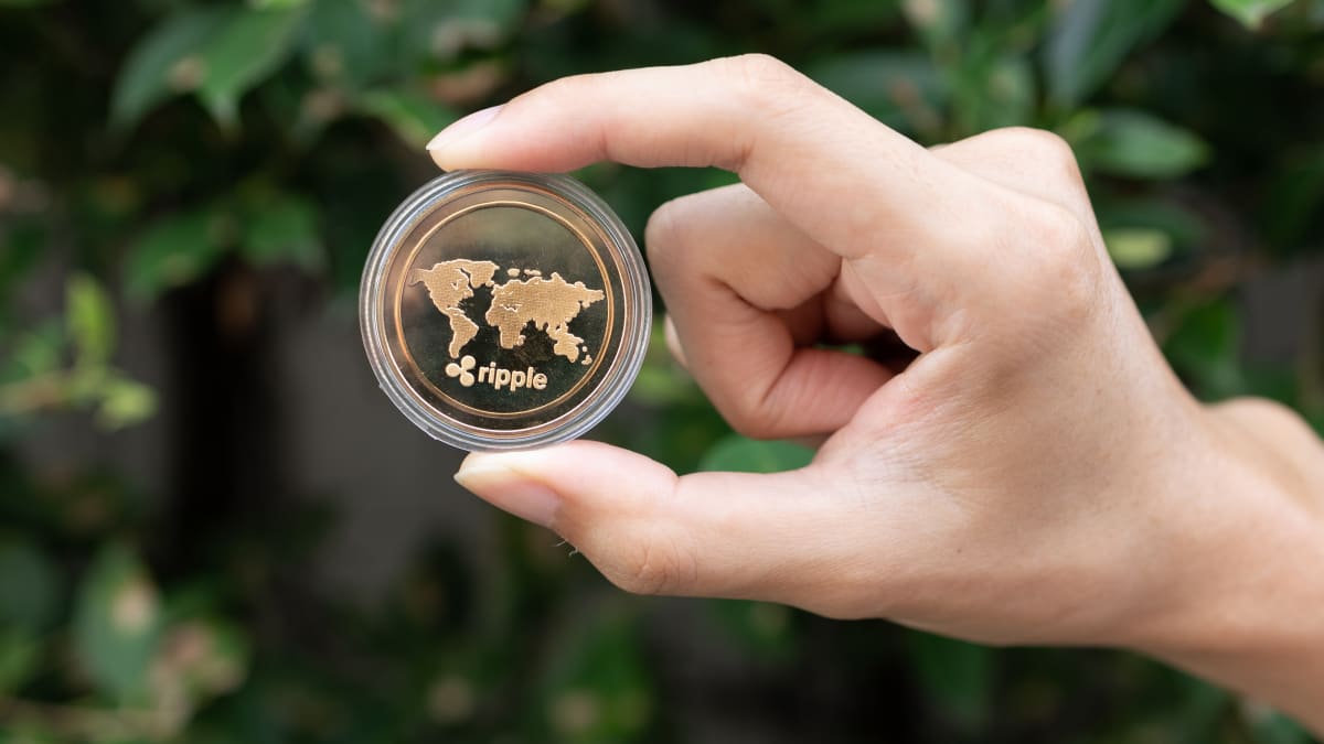 Dave Portnoy sold XRP too soon, now he wants to cry - TheStreet Crypto:  Bitcoin and cryptocurrency news, advice, analysis and more