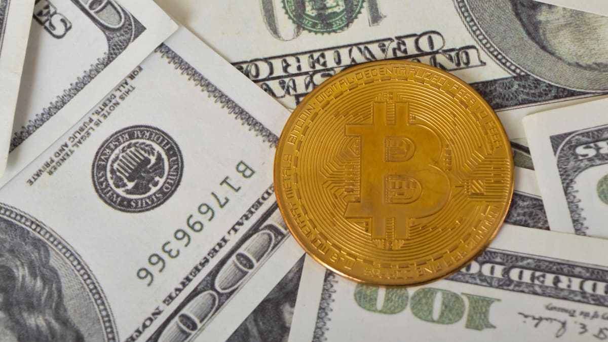 Is bitcoin maximalism a form of financial privilege? - TheStreet Crypto:  Bitcoin and cryptocurrency news, advice, analysis and more