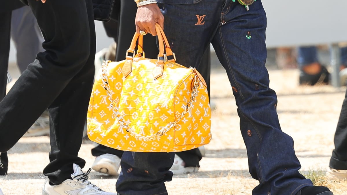Louis Vuitton, Bags, Louis Vuitton Speedy 3 Plus Add On Strap