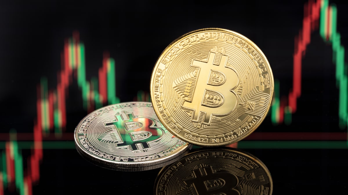 This is how the bitcoin halving is reshaping the crypto market - TheStreet  Crypto: Bitcoin and cryptocurrency news, advice, analysis and more