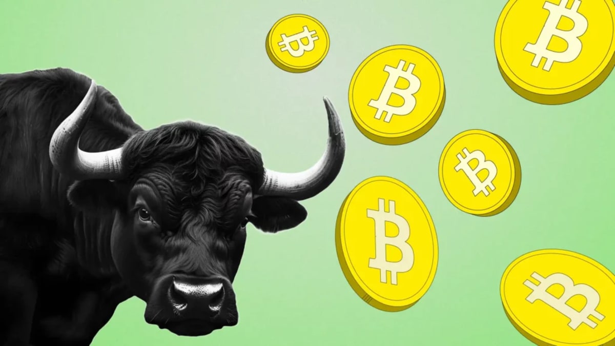 Historical Market Cycle Chart Suggests Crypto Bull Run May Last Until 2026  - TheStreet Crypto: Bitcoin and cryptocurrency news, advice, analysis and  more