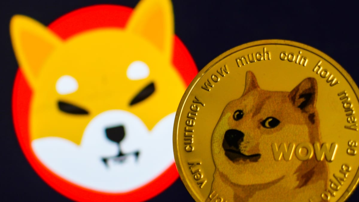Analyst predicts bullish momentum for Shiba Inu, but Dogecoin may dip -  TheStreet Crypto: Bitcoin and cryptocurrency news, advice, analysis and more
