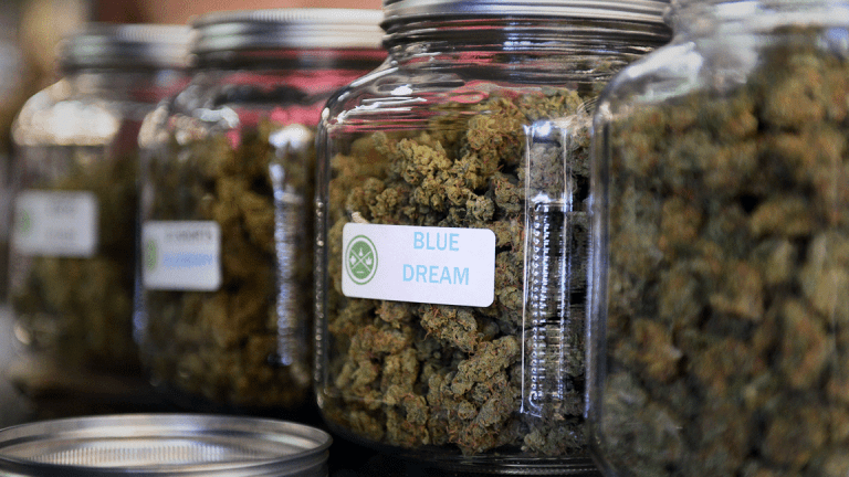 States That Legalized Weed: Medical Marijuana, Recreational and CBD