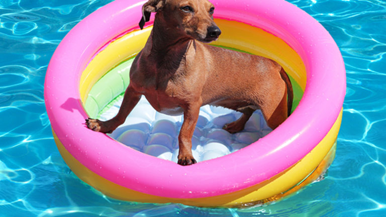 Adult Pool Floats to Make Your July 4th More Instagram Friendly