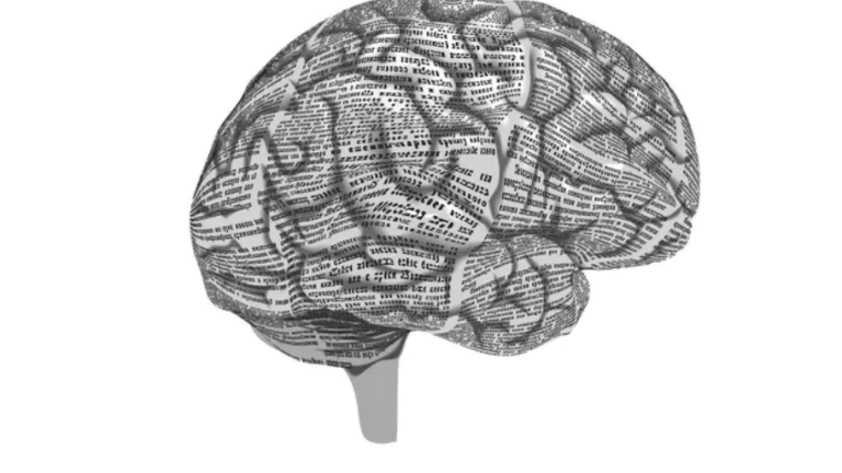 Brains keep temporary molecular records before making a lasting memory