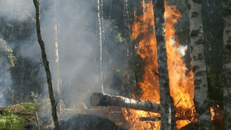 Taxes: better than bans in keeping homeowners rebuilding in fire-plague areas
