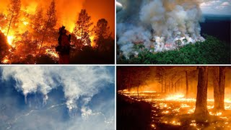 G7 Leaders Agree To $20 Million Package To Address Fires Raging In Amazon