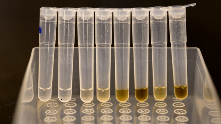 Given Your Genetic Code To A DNA Database? US Police May Now Have Access to It