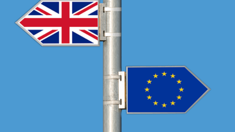 Survey reveals what drove voters to the Brexit Party in the European elections