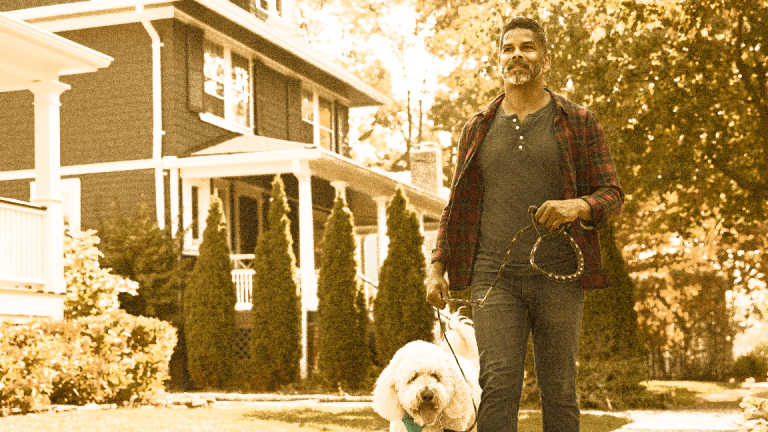 A Boomer's Best Friend
