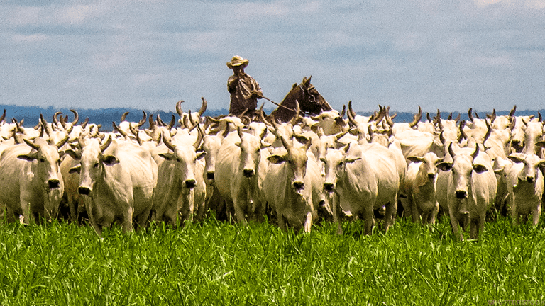 Weekly Roundup March 8, 2019: A Special Invitation
