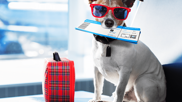 What You Need to Know About Traveling and Medicare