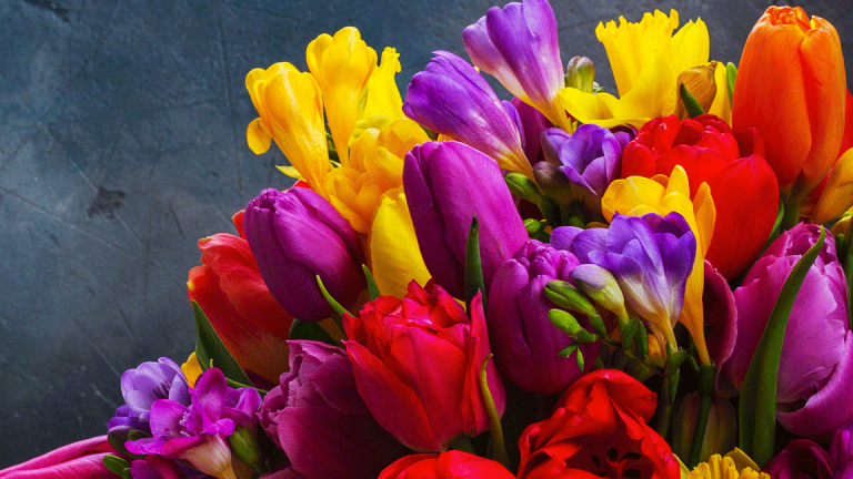 April's Best Deals: Spring Cleaning, Spring Planting and Tax Day