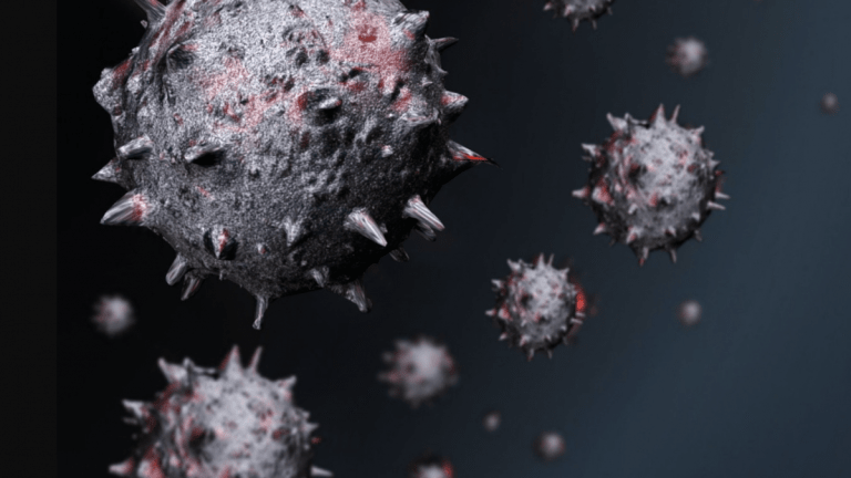 Omicron: why the WHO designated it a variant of concern