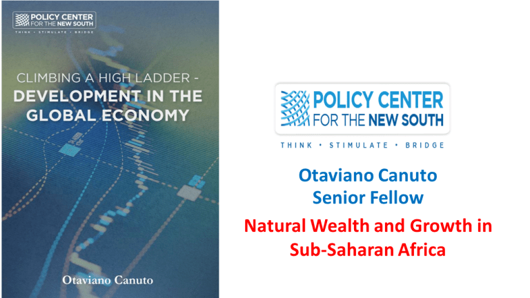 Natural Wealth and Growth in Sub-Saharan Africa