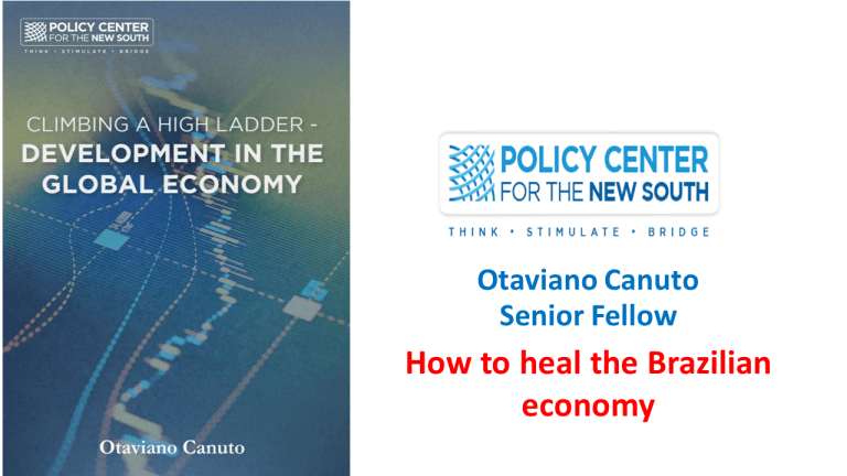 How to Heal the Brazilian Economy