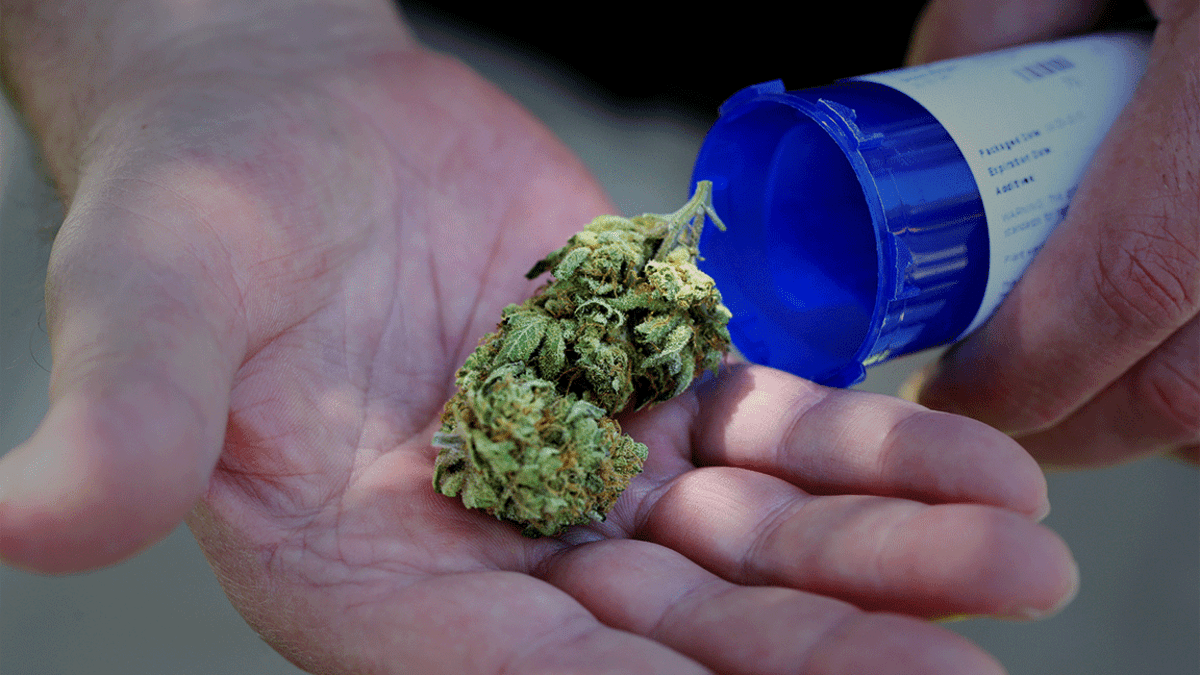 What Is Marijuana and How Is it Used? - TheStreet