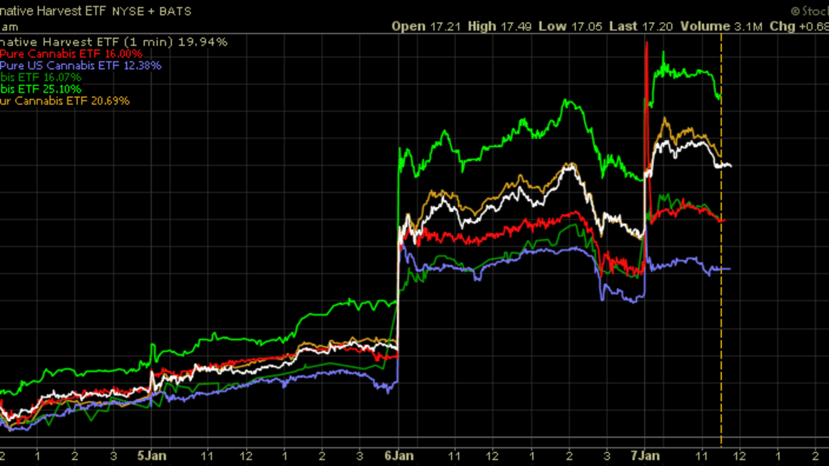 Marijuana Etfs Already Up In 21 Etf Focus On Thestreet Etf Research And Trade Ideas Marijuana Etfs Already Up In 21 Etf Focus On Thestreet Etf Research And Trade Ideas